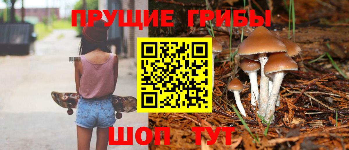 Белорецк  Псилоцибиновые грибы MAGIC MUSHROOMS  Вход с VPN 